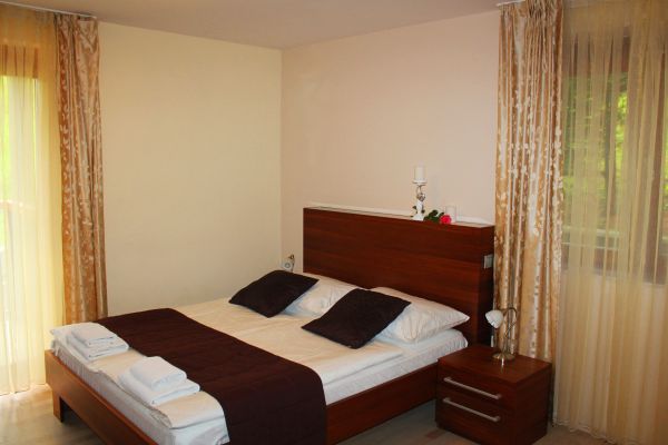 Villa Aina boutique Hotel (Lasko)
